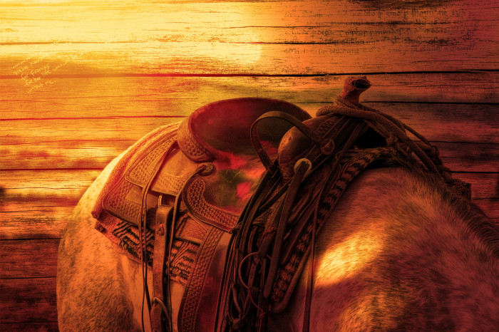 How to know what type of saddle to buy