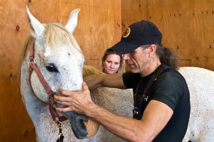 How a horse can cheer you up