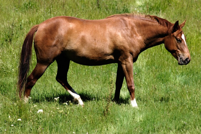 what do you need to know before choosing your next saddle?