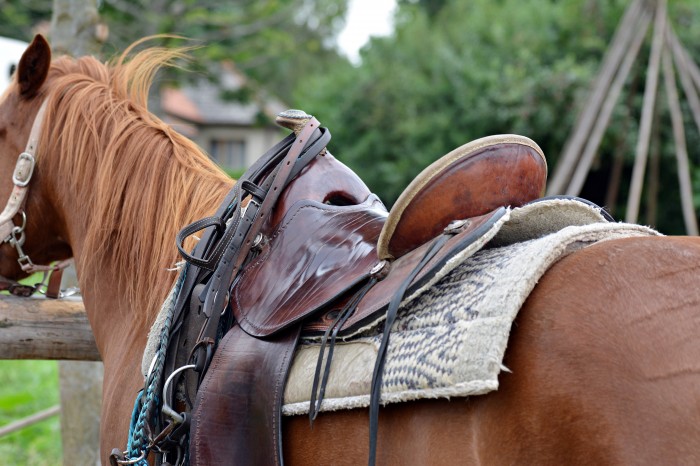 Equitack : Reconditioned saddles for sale