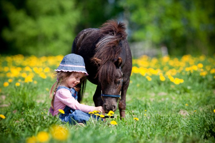 Horses company helps to fight depression